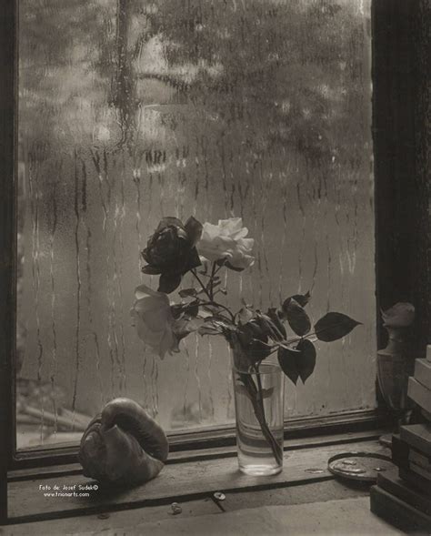 Josef Sudek Del Pictorialismo A La Nueva Objetividad Trianarts