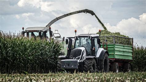 Kukurydza na Kiszonkę 2022 Valtra w Akcji Agro Awuus YouTube