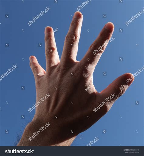 Hand Reaching Sky Gesture Stock Photo 1946441719 | Shutterstock