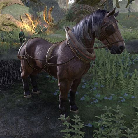 Onlinehardy Horse The Unofficial Elder Scrolls Pages Uesp