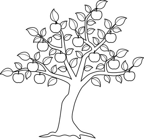 Apple Tree Branch Drawing at GetDrawings | Free download