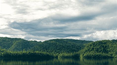 15 Best Lakes in Tennessee: Scenic Lakes for Memorable Adventures