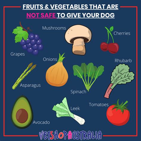 What Fruits And Vegetables Are Best For Dogs