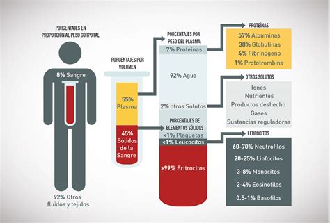 Quantos Litros Tem O Corpo Humano LIBRAIN