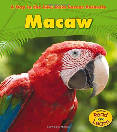 Macaw Life Cycle And Parts Of A Macaw Printable Montessori Nature