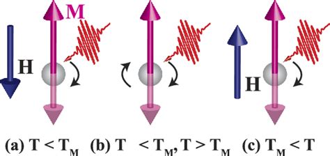 Figure 1 From Ultrafast Spin Switching Of A Ferrimagnetic Alloy At Room