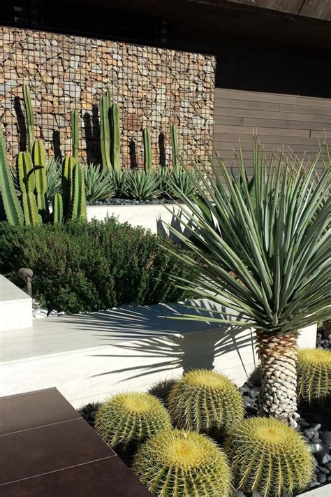 Outdoor Cactus Garden Ideas For The Best Looking Landscape