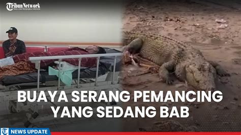 Buaya Serang Pemancing Di Batakan Tanahlaut Kalsel Tangan Korban Jadi