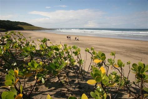 Wild Coast Hiking Trails