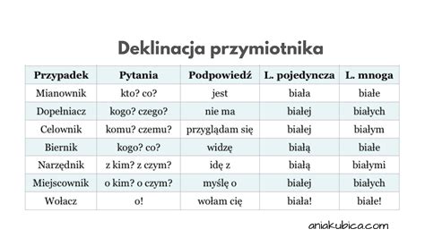 Przymiotnik od podstaw Język polski Learn polish Grammar School