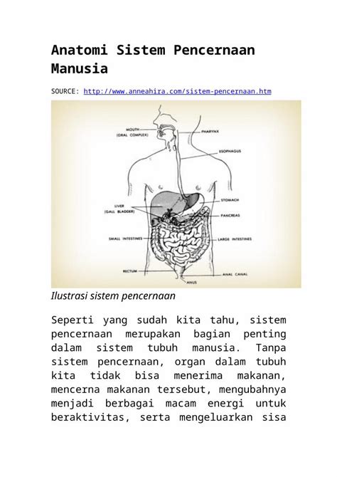 Docx Anneahira Sistem Pencernaan Manusia Dokumen Tips