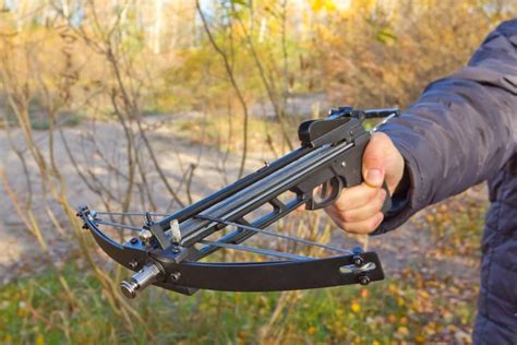 people hand holding a crossbow | The Complete Guide to Archery