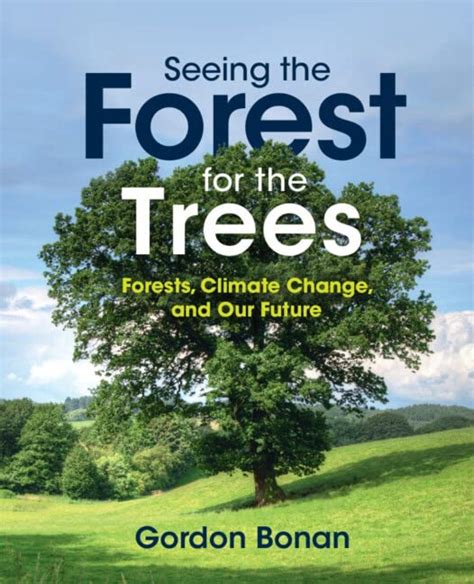 Seeing the Forest for the Trees: Forests, Climate Change, and Our ...