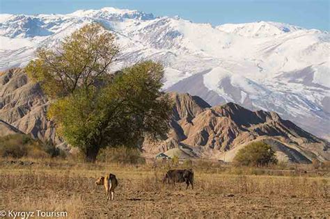 Kyrgyzstan nature - Kyrgyzstan Tourism