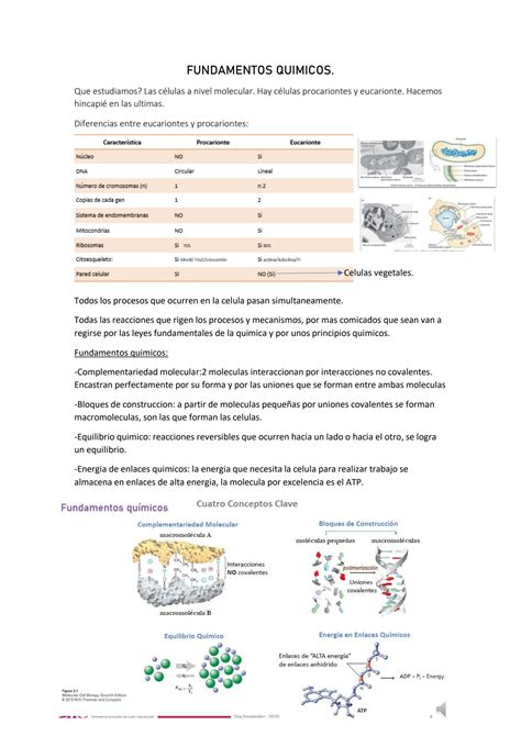 Solution Teorico Fundamentos Quimicos Biologicos Studypool