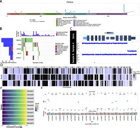 Genomic Data Visualization And Interpretation Griffith Lab