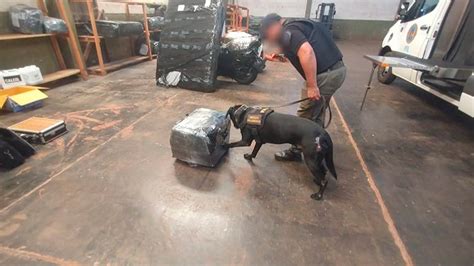 Narco Encomiendas Incautaron Kilos De Marihuana Valuados En