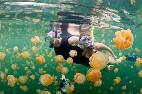 Palau Snorkeling & Kayaking Tour | Rock Islands & Jellyfish Lake