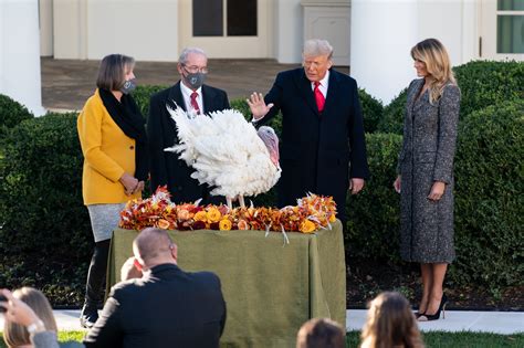 Trump Pardons 'Corn' The Turkey At Annual Thanksgiving Turkey Pardoning ...