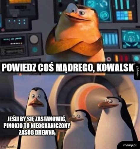 Kowalski Memy Pl