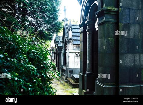 Tombstones In Cemetery At Dusk Gothic Style Crosses Paris Stock Photo