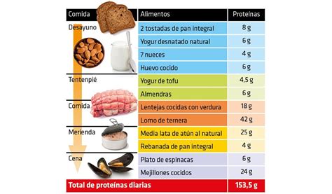 Cálculo de proteínas en la Dieta Lowcarb guía alimentos