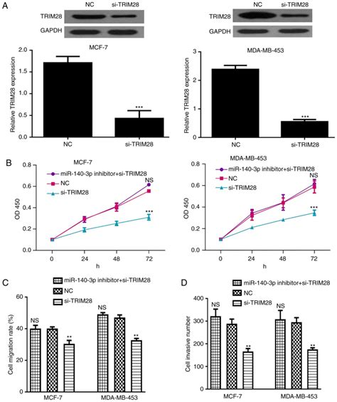 MiR1403p Inhibits Breast Cancer Proliferation And Migration By