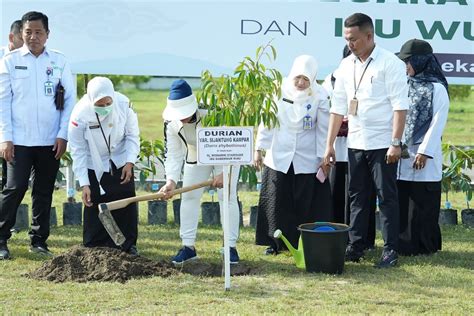 Infopublik Ketua Tp Pkk Riau Tanam Pohon Durian