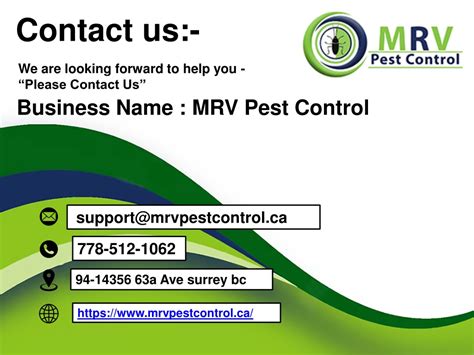 Ppt Pest Control Service Surrey Powerpoint Presentation Free Download Id12126157