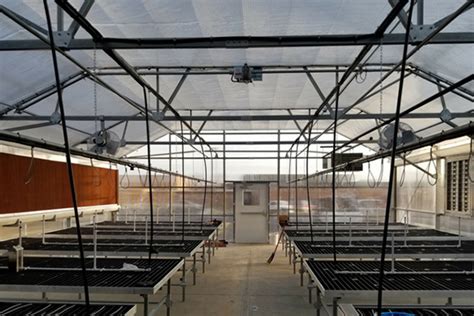 Commercial Greenhouse Equipment Stuppy Greenhouse