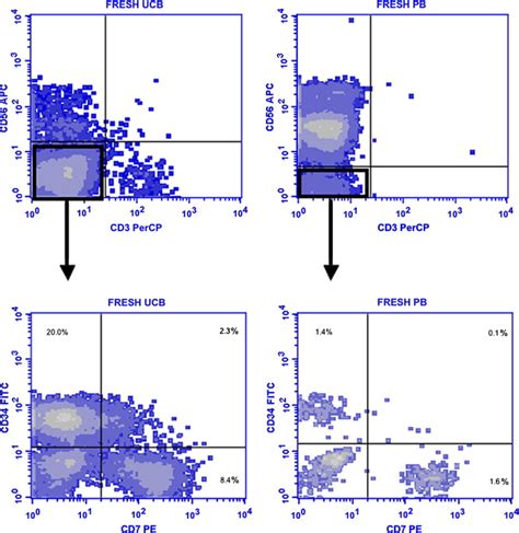 Mouse Fetal And Embryonic Liver Cells Differentiate Human Umbilical