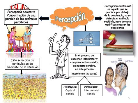 Percepcion Sensorial Ppt Descarga Gratuita