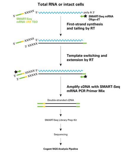 Smart Seq Mrna Lp With Umis｜クロンテック製品情報｜タカラバイオ株式会社