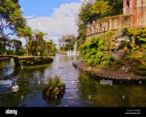 Portugal Madeira Funchal Monte View Of The Monte Palace Tropical