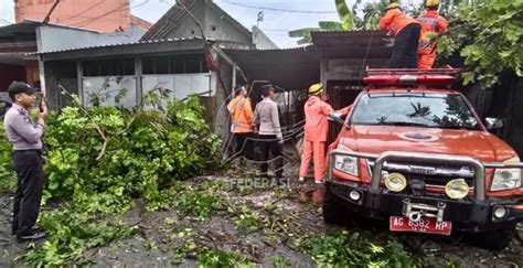 Angin Kencang Terjang Enam Kecamatan Di Tulungagung Afederasi