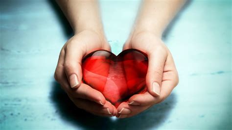 20 Fascinating Facts About The Human Heart Inspiremore