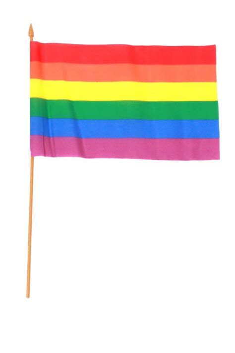 Regenbogenfahne Schwul Gay Lesbisch Symbol Bunte Fahne Mottoparty Flagge Rainbow EBay