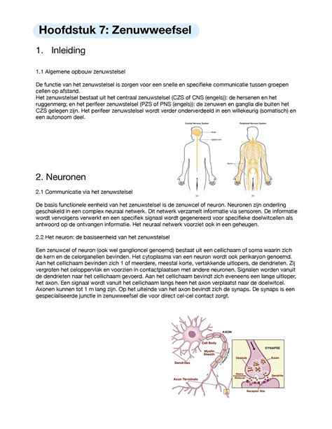 Cursus H7 Hoofdstuk 7 Zenuwweefsel 1 Inleiding 1 Algemene Opbouw