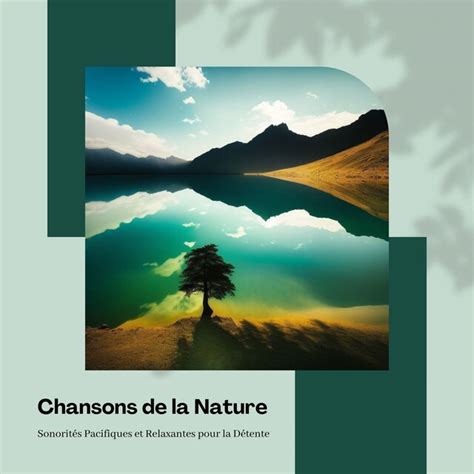 Chansons De La Nature Sonorit S Pacifiques Et Relaxantes Pour La