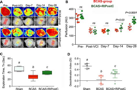 Detection of cerebral blood flow changes by laser speckle contrast ...