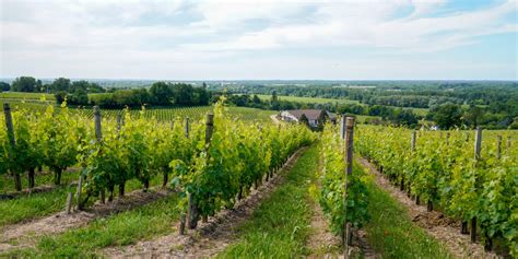 Cambio Di Presidenza Per Strada Del Franciacorta Giorgio Vezzoli