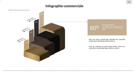 Modèle Présentation Diagramme Montrant Les Différents Types D