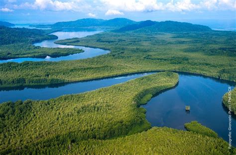 La Riqueza Natural De Costa Rica Vale Mil Millones Y Anualmente El