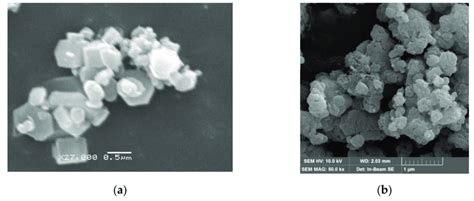 Scanning Electron Microscopy Images Of A Caoh 2 Gel And B