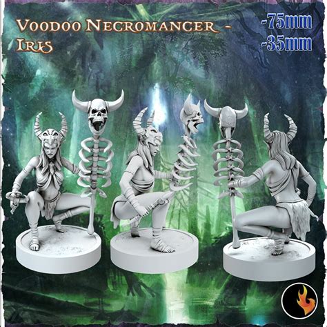 Female Elf Sorcerer Necromancer Druid Shaman Sexy Pinup 28mm 32mm