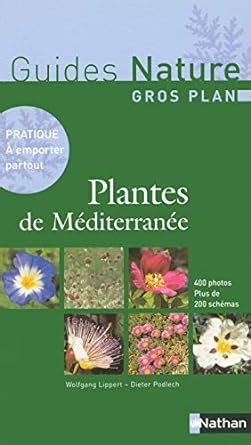 Amazon Fr Plantes De M Diterran E Lippert Wolfgang Podlech