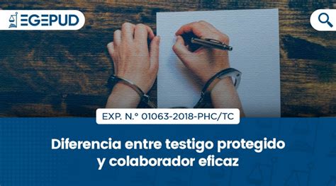 Diferencia Entre Testigo Protegido Y Colaborador Eficaz