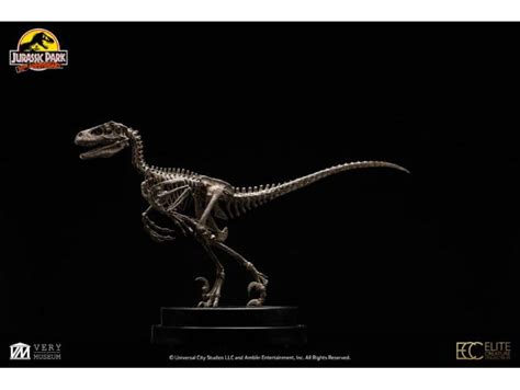 Toynami Jurassic Park Statua Velociraptor Skeleton Bronze Cm