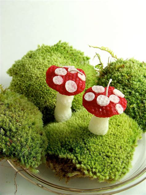 Alice In Wonderland Mushroom Candles 2 Cake Topper Whimsical