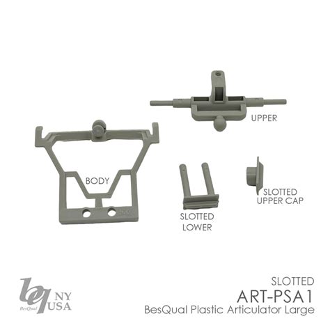 BesQual Disposable Articulators PSA